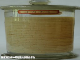 cyc3.jpg